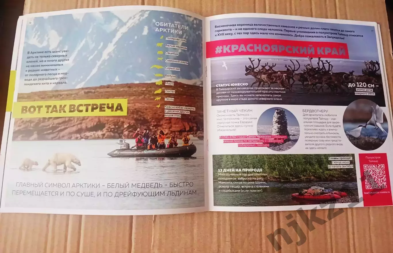 Книга Погнали в Арктику блог полярника 2