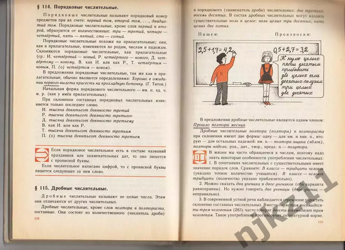 Русский Язык. Теория. 5-9 кл. В. Бабайцева, Л. Чеснокова. 1993г не частый учебни 4
