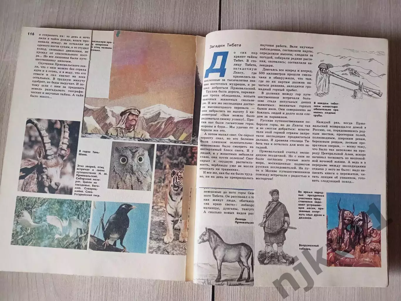 Книга Малышам о географических открытиях» автора М.В. Ревенко. 1989г 5