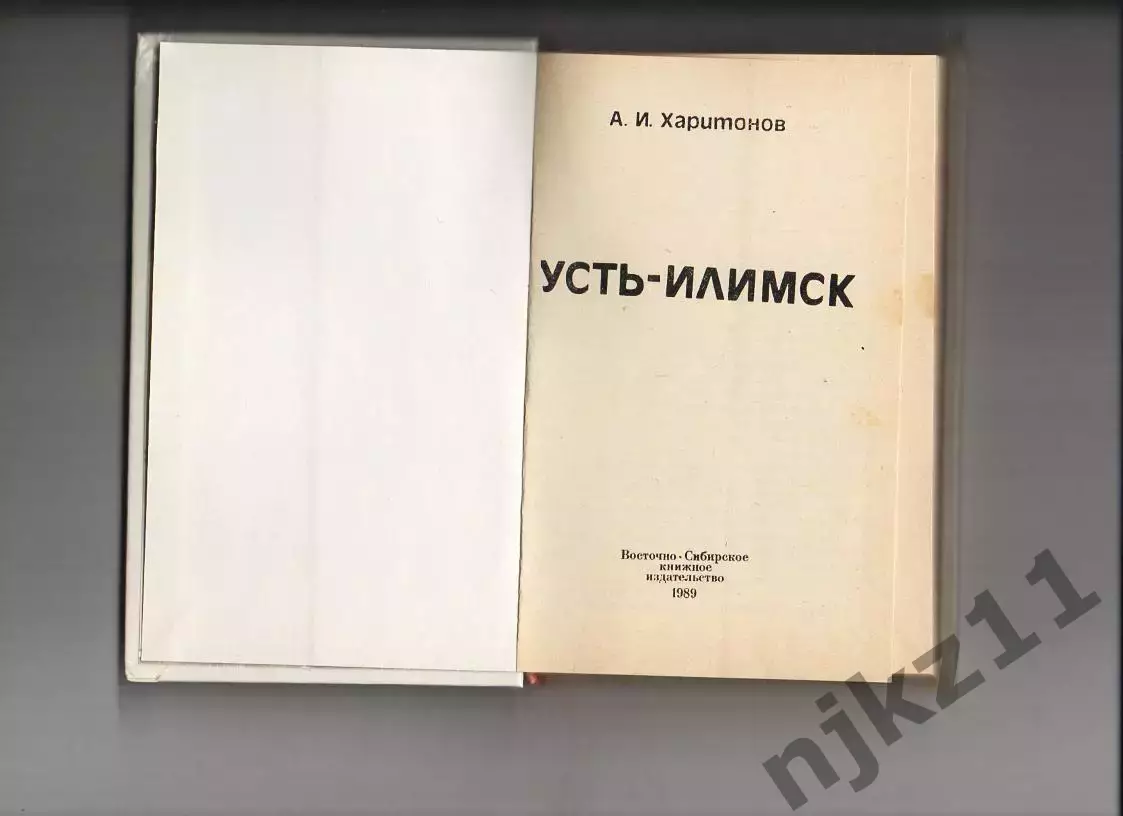 А. И. Харитонов. Усть-Илимск 1