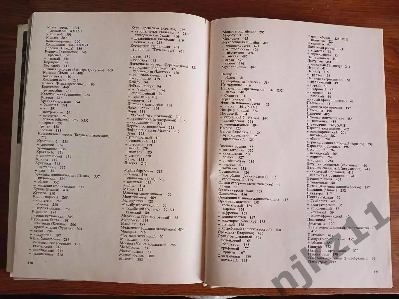 Иллюстрированная энциклопедия птиц Ганзак Ян 1984 5