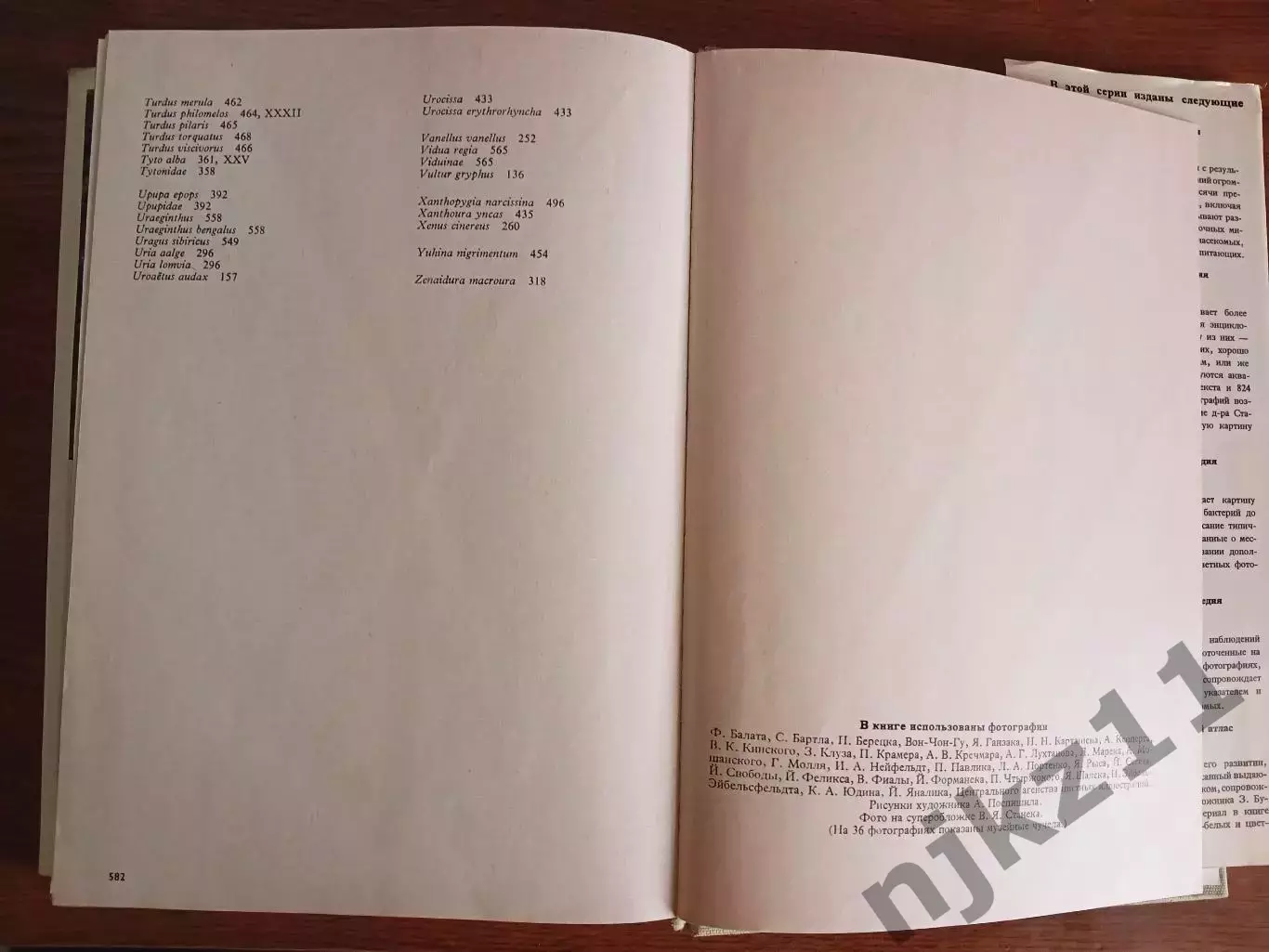 Иллюстрированная энциклопедия птиц Ганзак Ян 1984 6