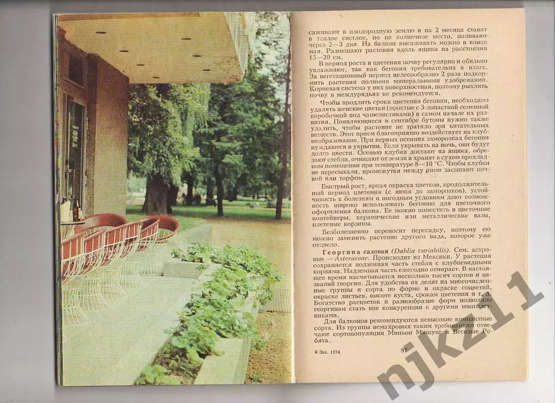 В.Бибикова и др. ЗЕЛЕНЫЕ ОАЗИСЫ ДОМА И НА РАБОТЕ (про цветы) 3