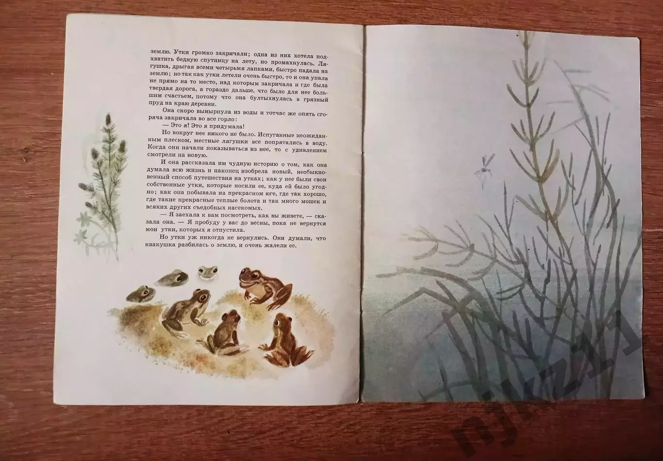 В. Гаршин Лягушка-путешественница, 1989 г 3