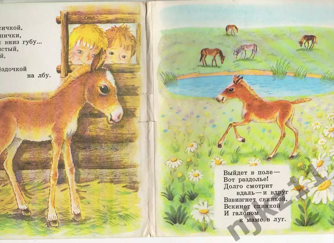 Черный С. Жеребенок 1990 1