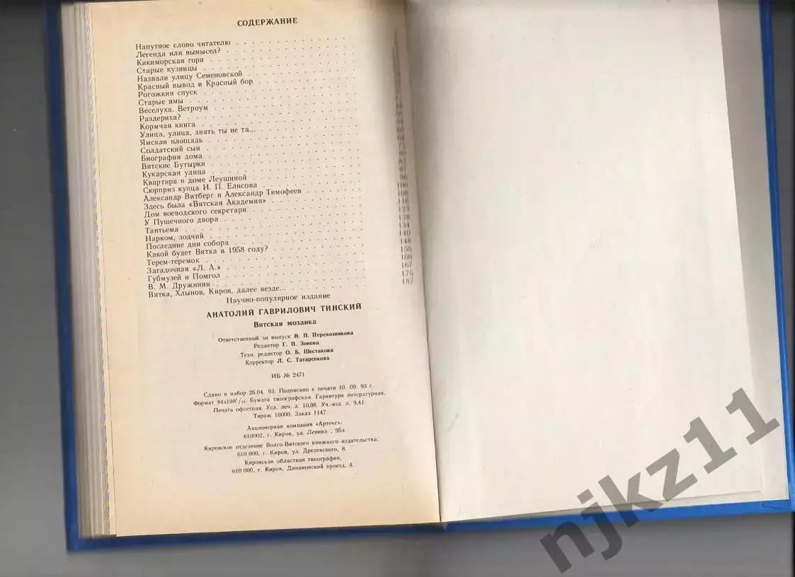 Вятская мозаика. А. Г. Тинский г.Киров 4