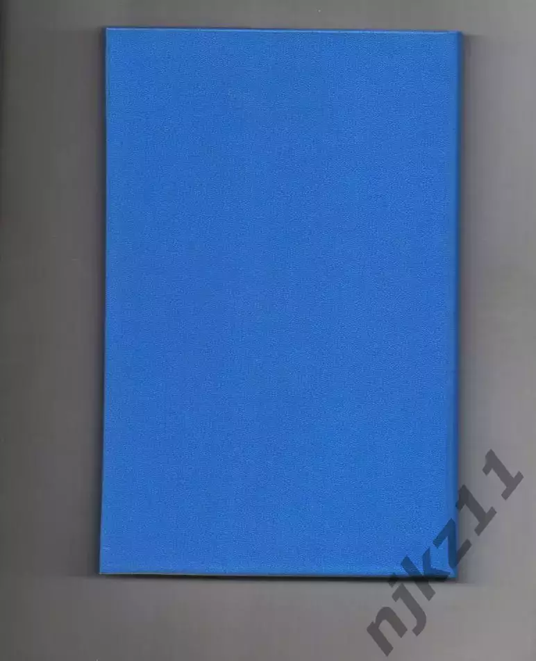 Вятская мозаика. А. Г. Тинский г.Киров 5