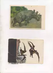 открытка Уинтатерий худ. Королев 1969 из набора доисторические животные.