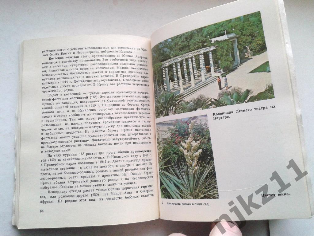 Никитский ботанический сад Таврия, 1981 год. Симферополь 5
