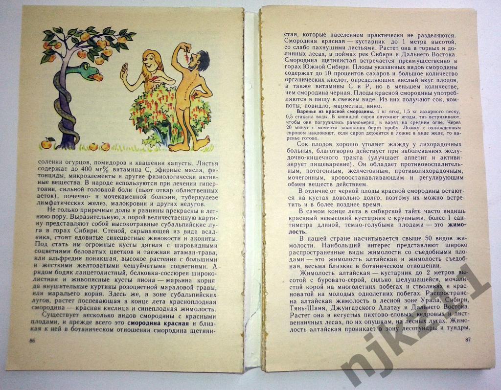 Свиридонов Лесной огород 1987 Серия Эврика Первое издание О лесных съедобных рас 3