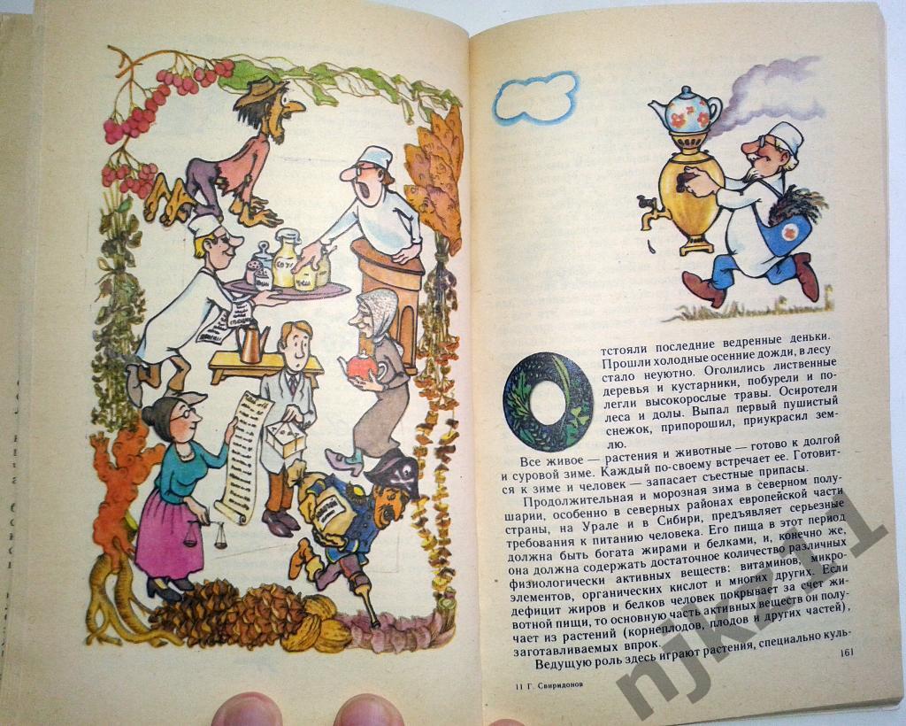 Свиридонов Лесной огород 1987 Серия Эврика Первое издание О лесных съедобных рас 4