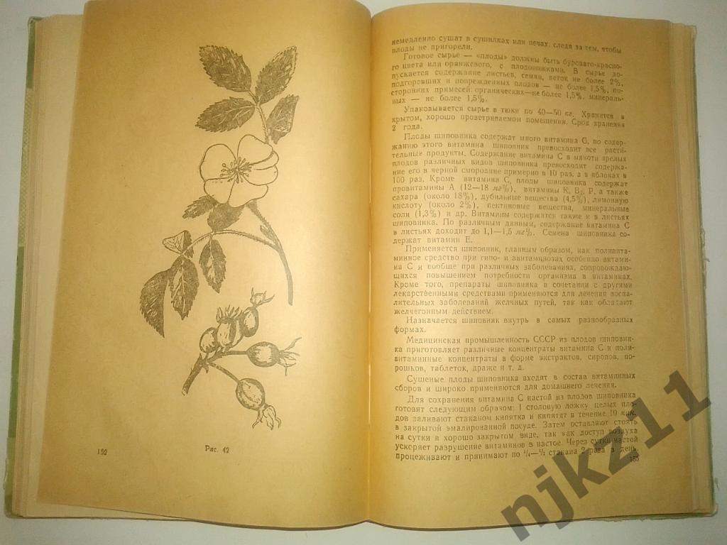 Лекарственные растения и их применение в медицине 1962 г. 3