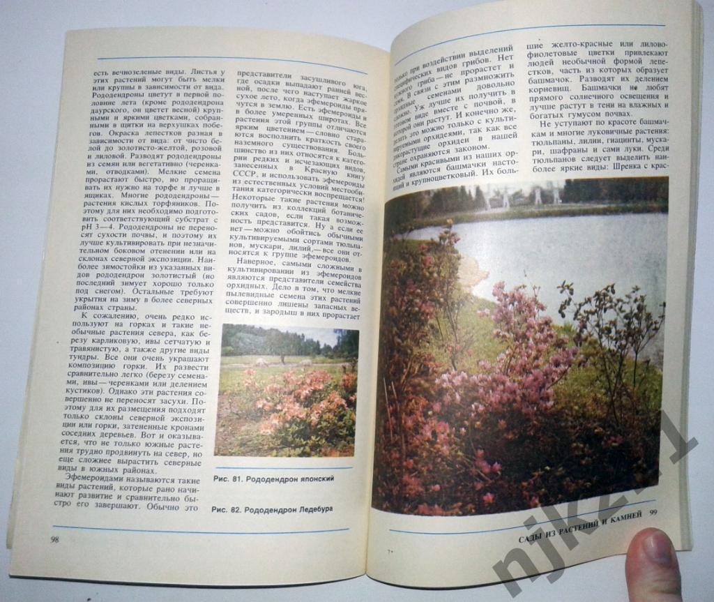 Терлецкий В.К.. Декоративные растения для вашего дома 1989г 3