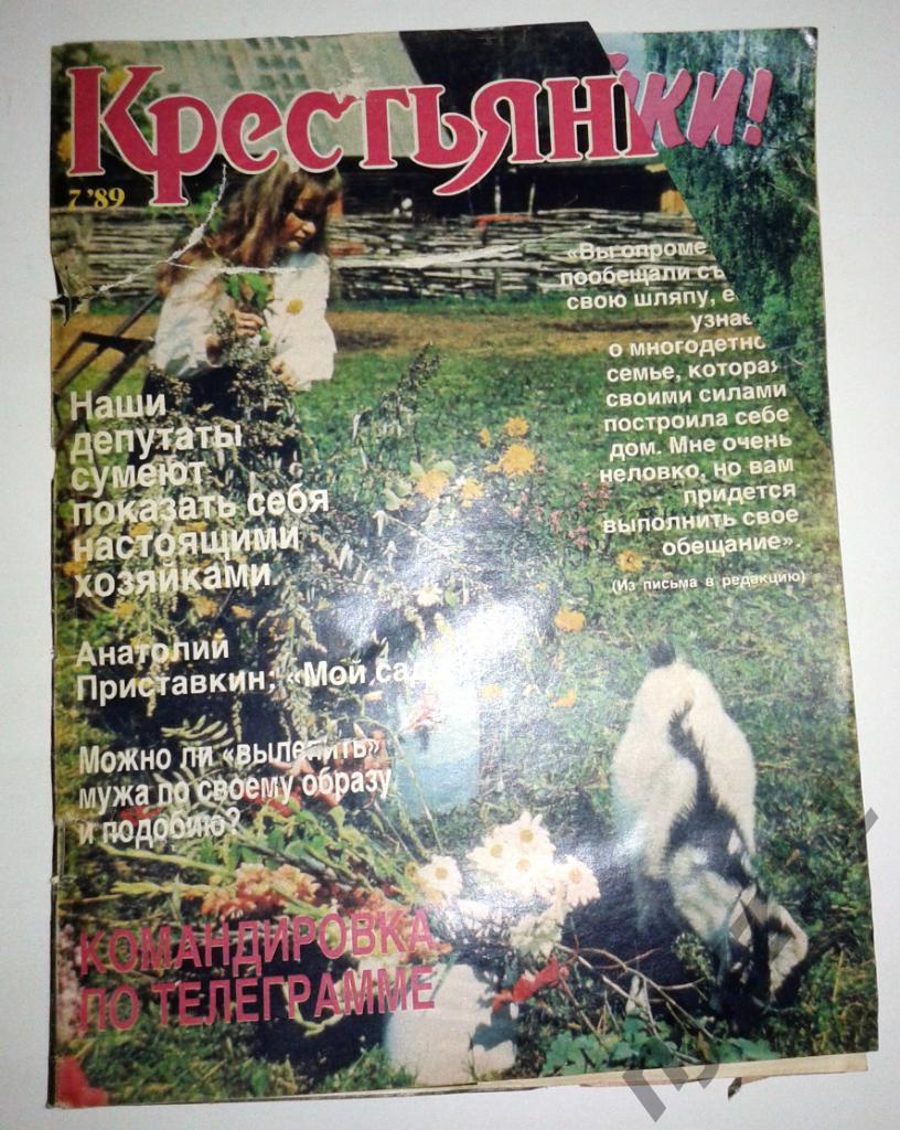 Журнал Крестьянка № 7 1989 Пчеловодство, детские стихи, АЗИЗА, мода СССР