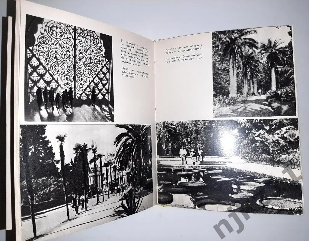 Пачулина Путеводитель Черноморское побережье Кавказа 1980г 4