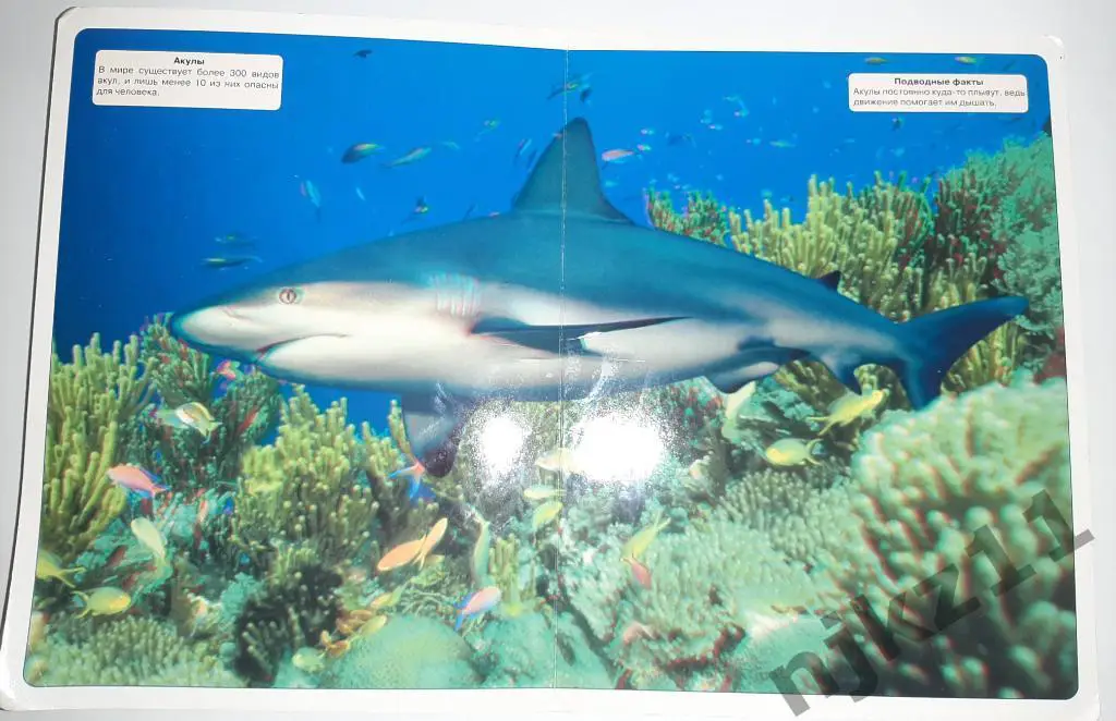 Волшебные очки. Подводный мир. Картинки для просмотра с 3d очками 2