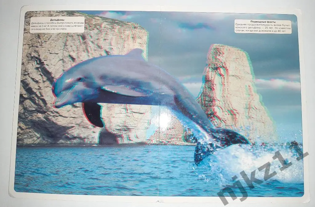 Волшебные очки. Подводный мир. Картинки для просмотра с 3d очками 3