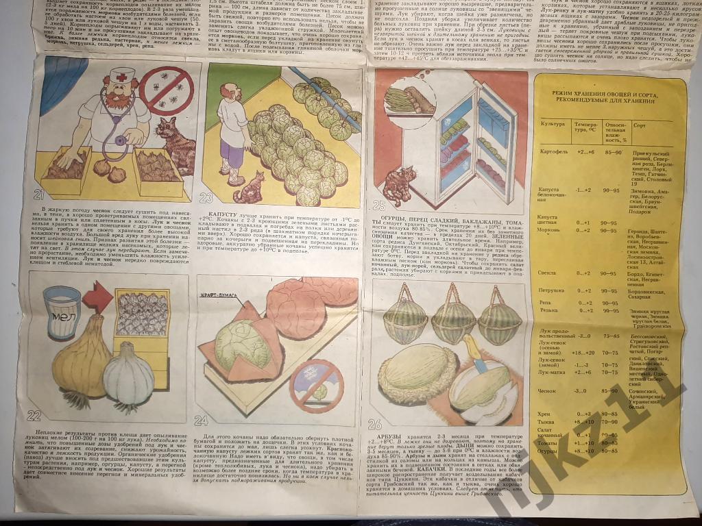 Как сохранить овощи 1991г справочное издание с иллюстрациями 1