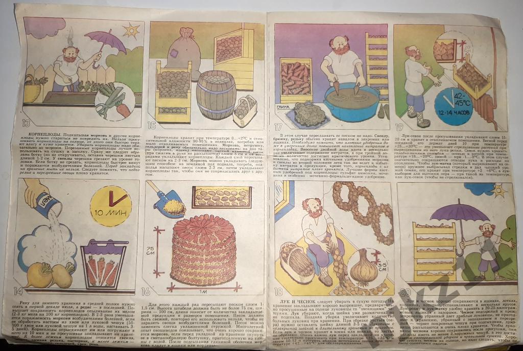 Как сохранить овощи 1991г справочное издание с иллюстрациями 2