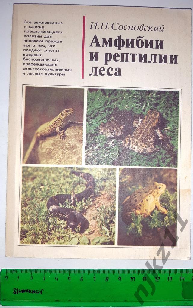 Сосновский, И.П. Амфибии и рептилии леса
