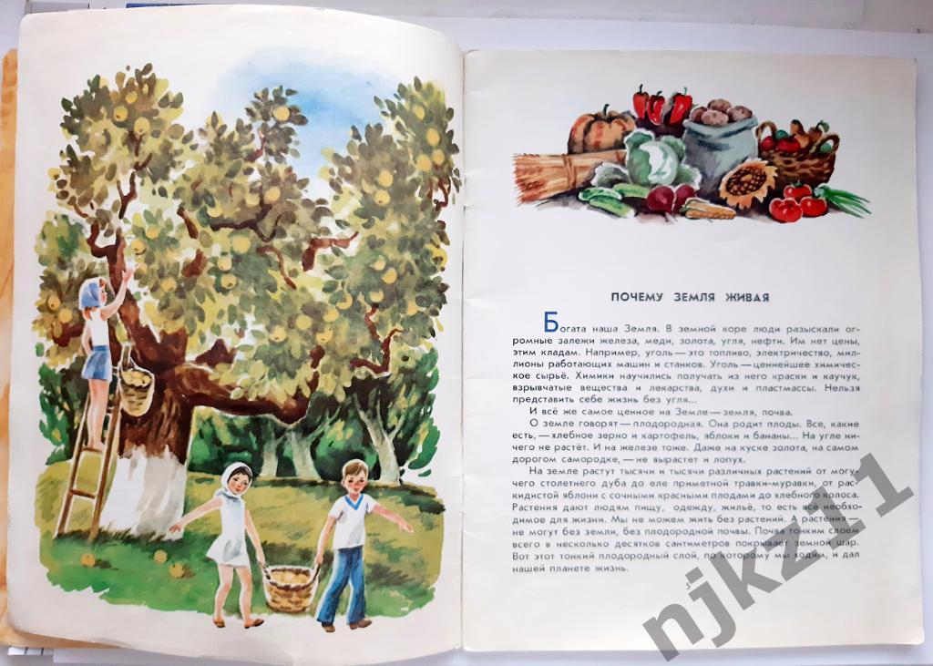 Вот какой каравай 1975г Ляшенко (много картинок) книга СССР 5