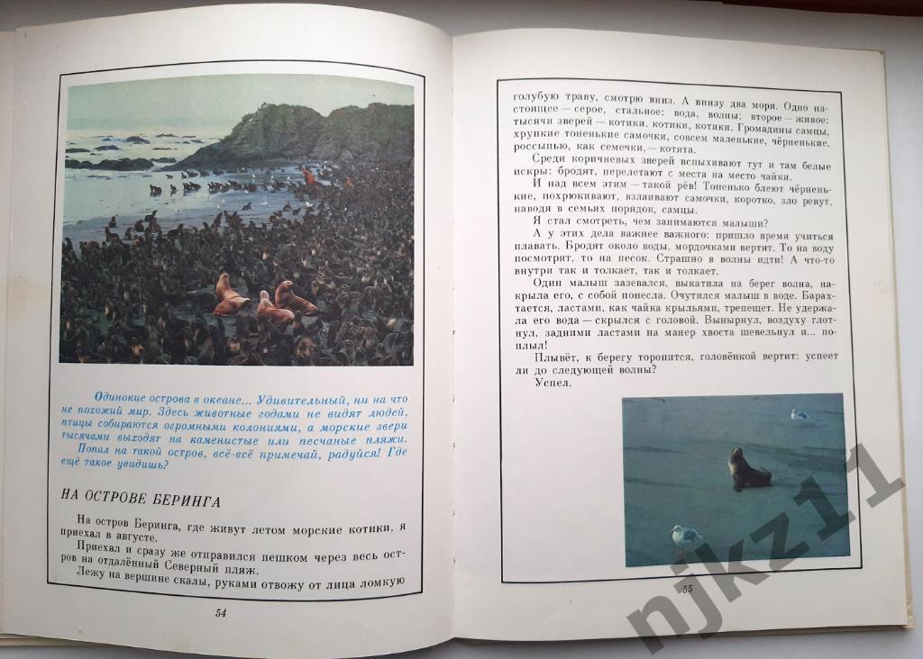 Сахарнов, С. В мире дельфина и осьминога. 1987. Цветные картинки СССР 4