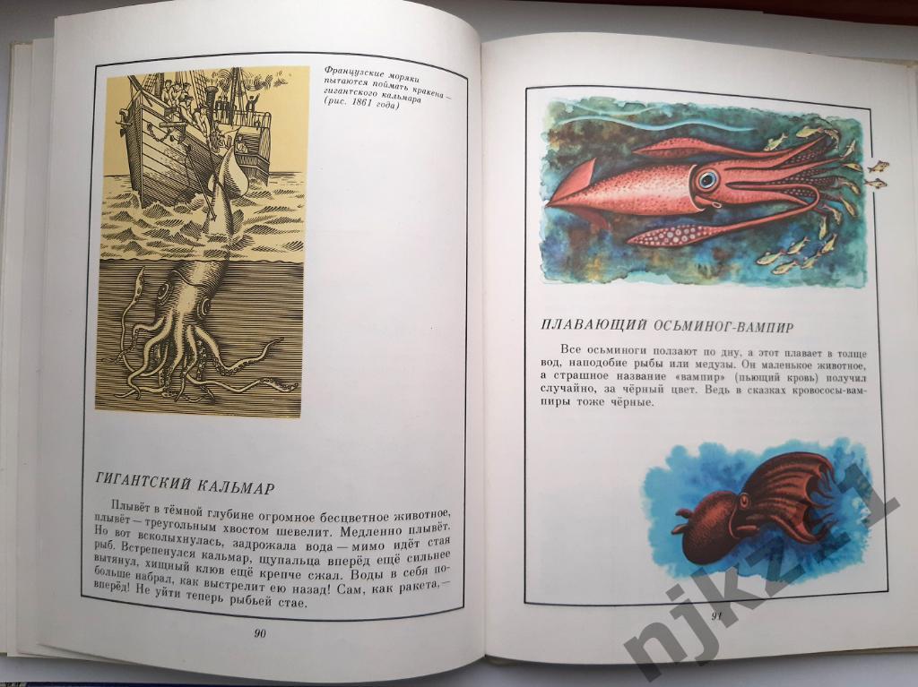 Сахарнов, С. В мире дельфина и осьминога. 1987. Цветные картинки СССР 6