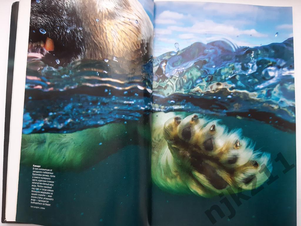 Журнал National Geographic октябрь 2014г СНЕЖНЫЙ БАРС, ДИНОЗАВРЫ 3