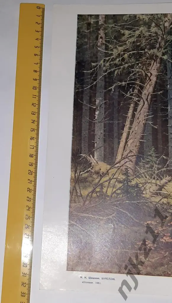 Репродукция картины Шишкина Бурелом Огонек 1951г формат А3 1