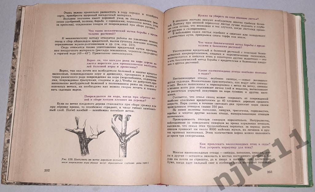 Сергеев, В.И. Азбука садовода в вопросах и ответах 1966г есть цветные картинки! 5