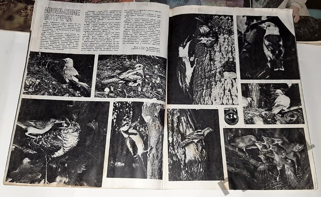 Журнал Охота и охотничье хозяйство №2,3,5,6,7,8,9,11 за 1976 любой на выбор 6