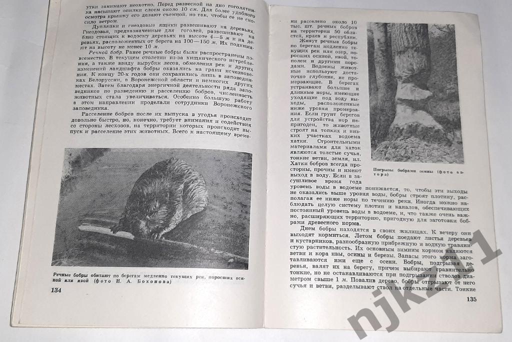 Лесные охотничьи угодья А.А. Козловский - тираж всего 12 тыс.экз 3