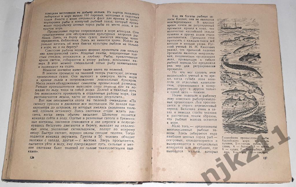 Карелин, Д. Моря нашей Родины 1952г (есть карта и много интересных картинок) 3