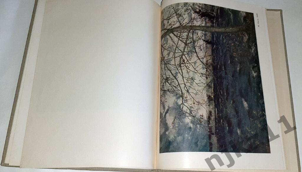 ред. Шанина, Н.Ф. Родная природа в творчестве Ромадина 1963г фотоальбом 5