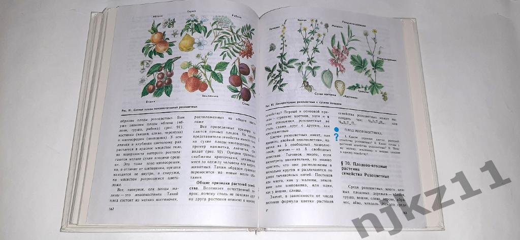 Серебрякова, Растения, бактерии, грибы, лишайники Учебник для 6-7 классов 7