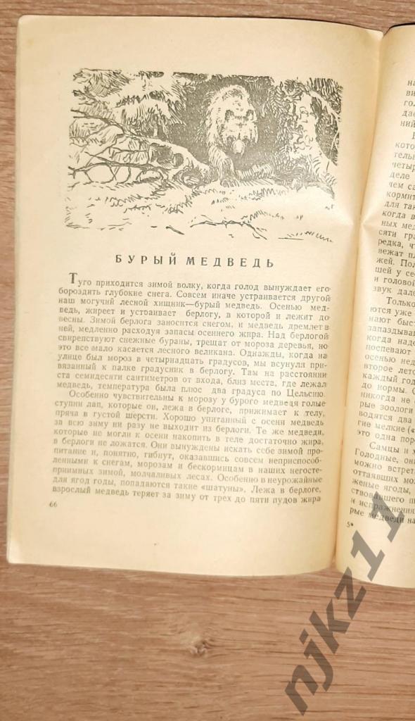 Мантейфель, П.А. Жизнь пушных зверей 1948г 3