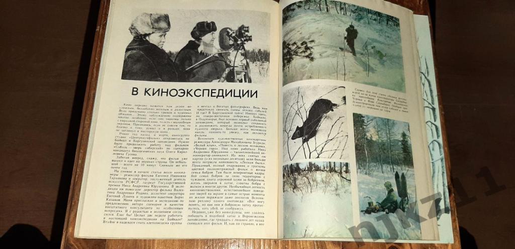 ЮНЫЙ НАТУРАЛИСТ 1981г № 3,8,9,10 - цена за все 100 руб 7