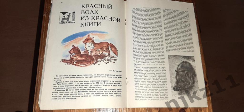 Журнал Юный Натуралист №1,2,3,4 за 1979г - 100 руб за все номера 2