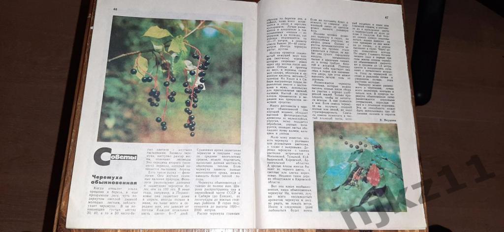 Журнал Юный Натуралист №4,5,6,7,9,10,11,12 за 1978г - 150 руб за все номера 5
