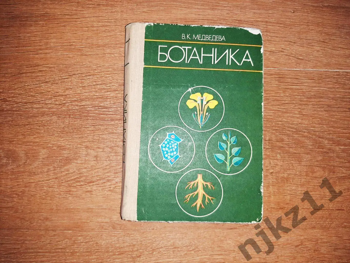 Ботаника. Цветные иллюстрации. Учебник для фармацевтов. В.Медведева. РЕДКОСТЬ