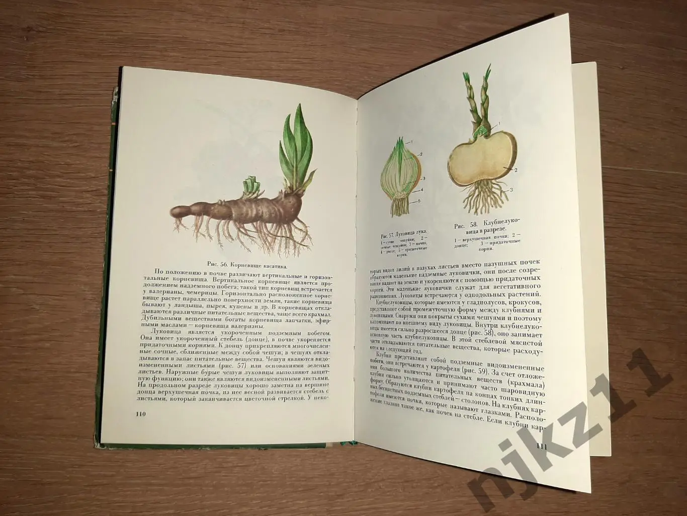 Ботаника. Цветные иллюстрации. Учебник для фармацевтов. В.Медведева. РЕДКОСТЬ 3