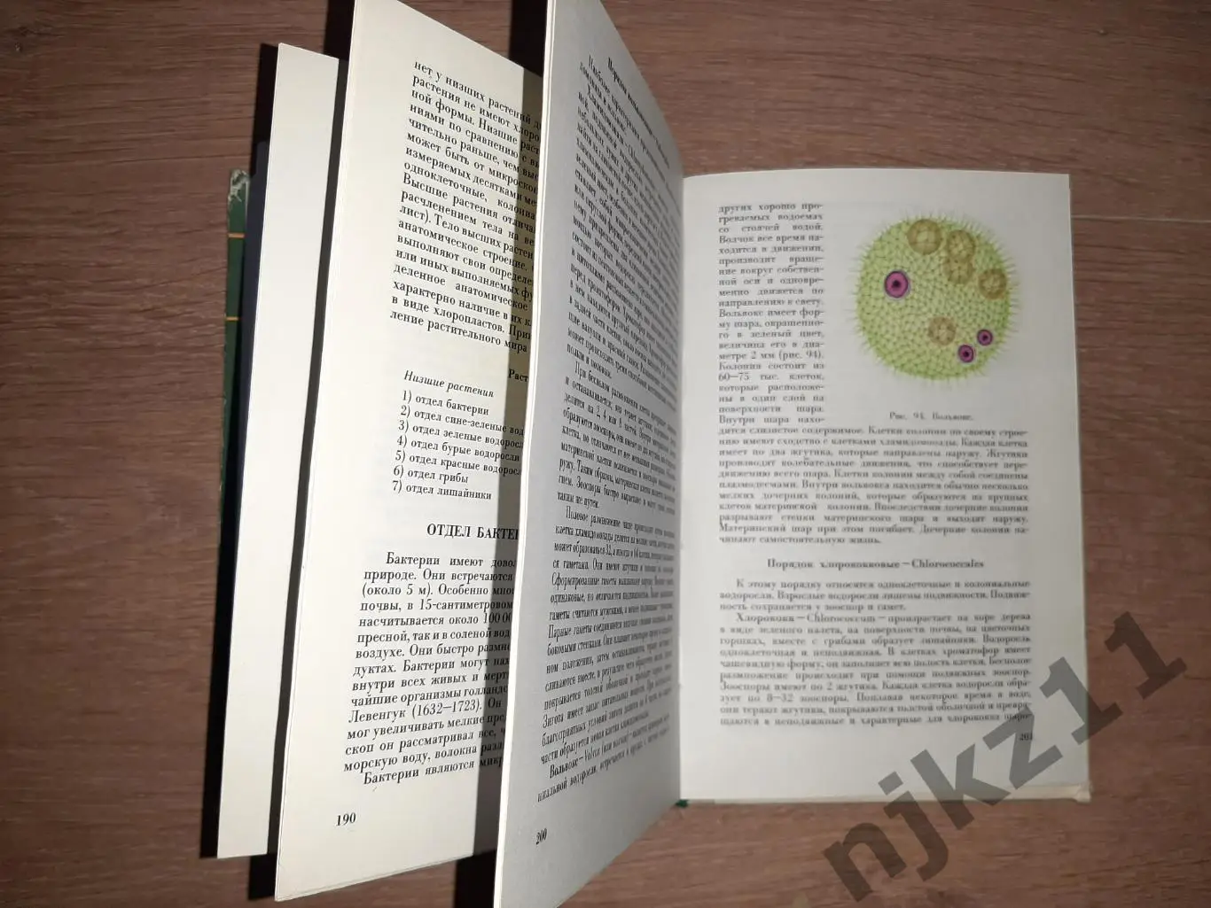 Ботаника. Цветные иллюстрации. Учебник для фармацевтов. В.Медведева. РЕДКОСТЬ 4