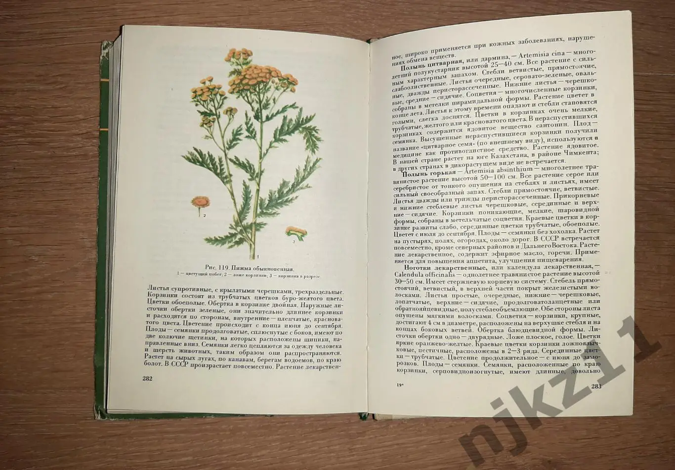 Ботаника. Цветные иллюстрации. Учебник для фармацевтов. В.Медведева. РЕДКОСТЬ 5