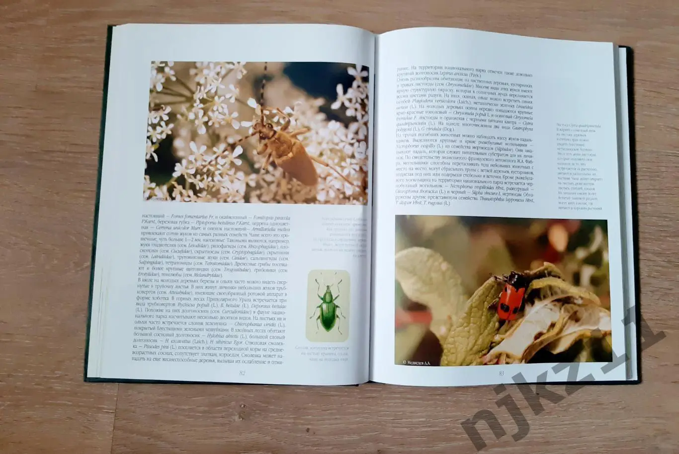 Национальный парк Югыд ва: Фотоальбом В. И. Пономарев РЕСПУБЛИКА КОМИ 4