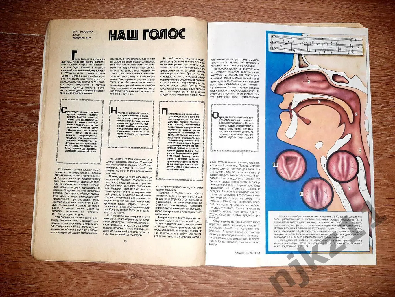 Журнал Здоровье № 5 за 1983г гимнастика, очки детям, одуванчик 2