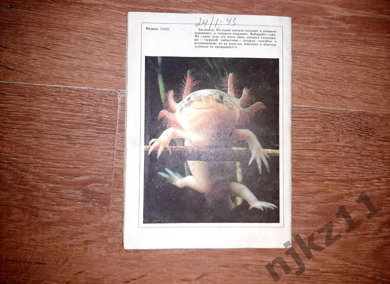 Юный натуралист 1992г № 1 вырезок нет 4