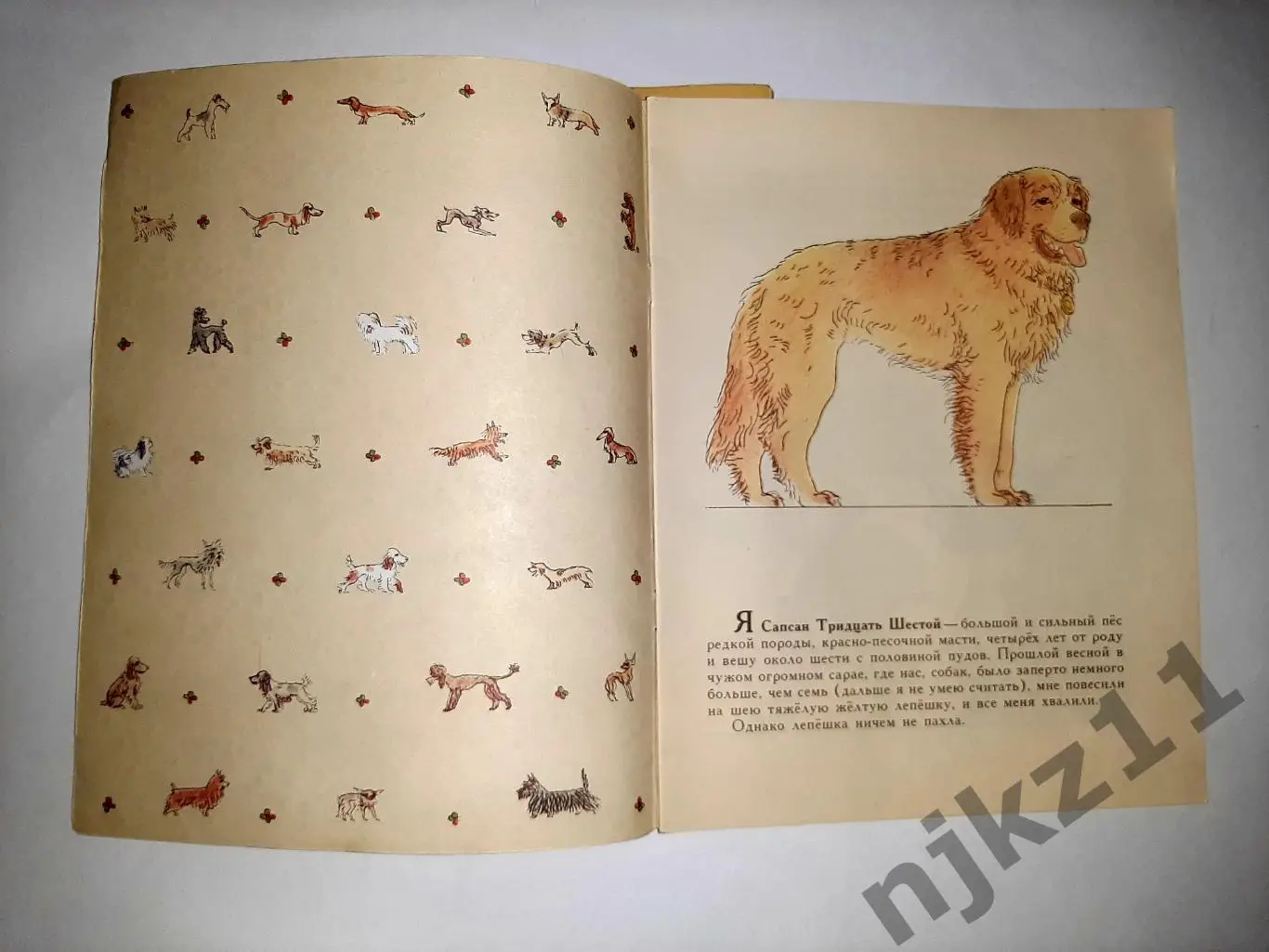 Куприн 2 книги СССР увел. формат, много цветных картинок 4