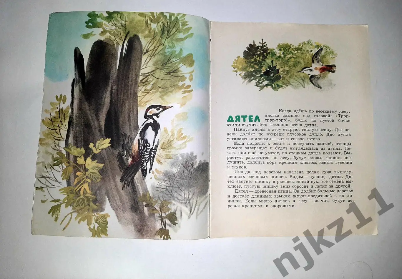 Снегирёв Г. Про птиц. Худ. Т. Капустина увел. формат 1