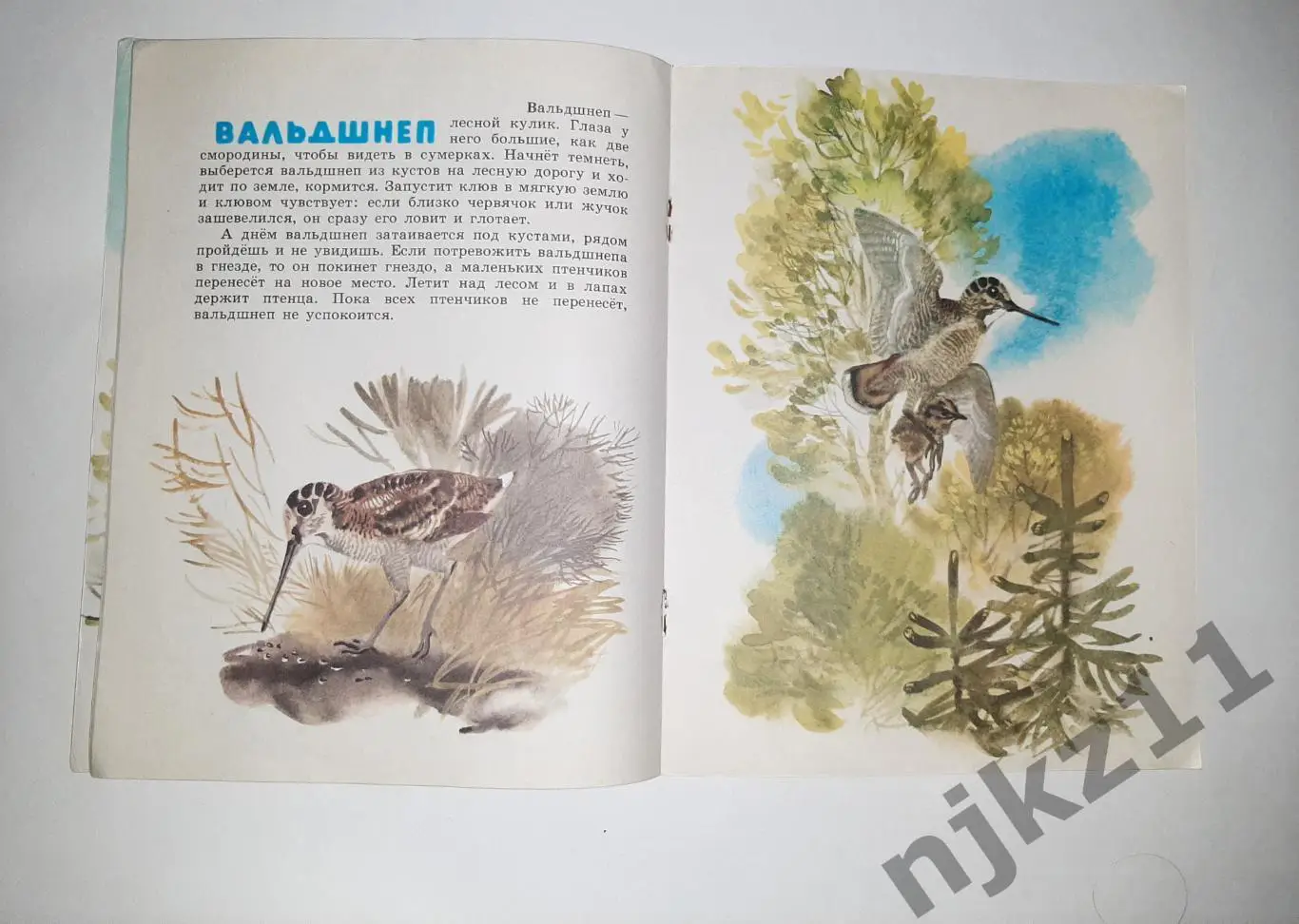 Снегирёв Г. Про птиц. Худ. Т. Капустина увел. формат 2