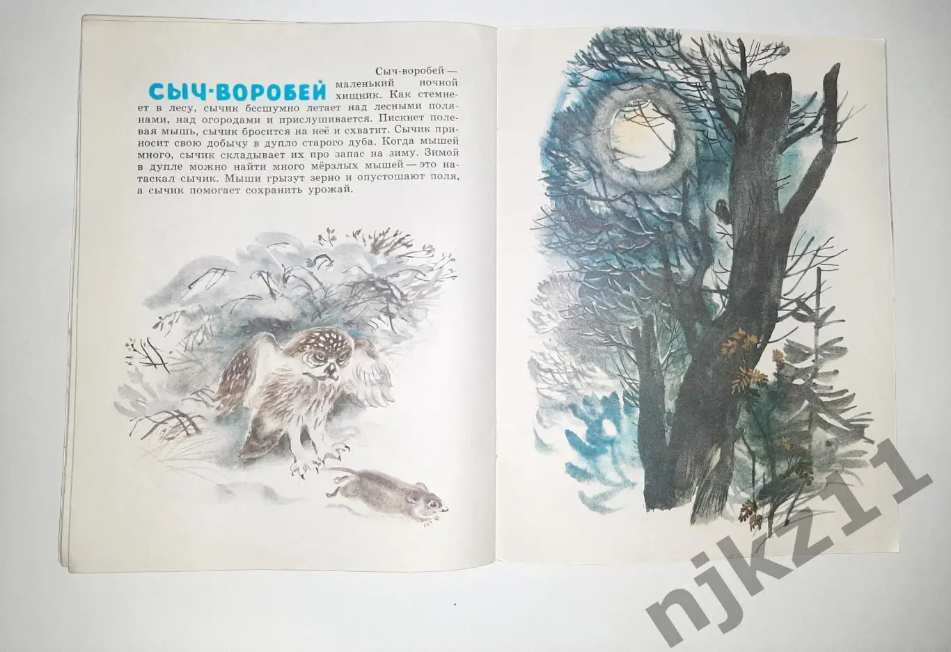 Снегирёв Г. Про птиц. Худ. Т. Капустина увел. формат 3